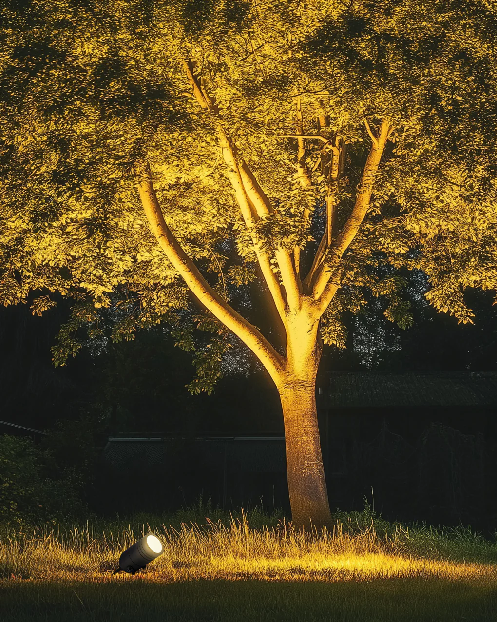 Faretto su picchetto Jack - Antracite - Image 8